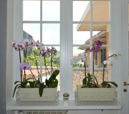 Da Serena Affittacamere